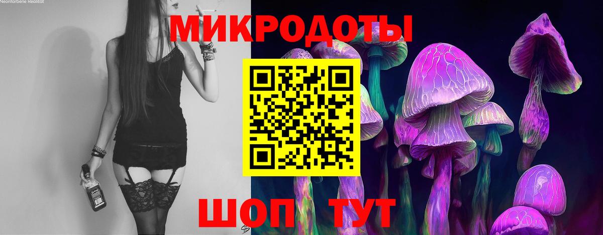 Псилоцибиновые грибы мицелий Орск