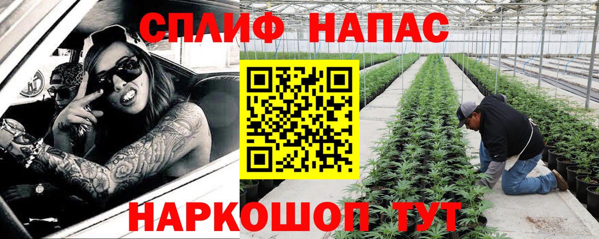 Бошки Шишки VHQ Орск